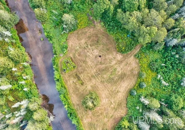Photo 3 of Land for sale at 6484 A Off S15 Rd, Rapid River, MI 49878 | MLS# 50219926 | Listing updated on 2026-09-21