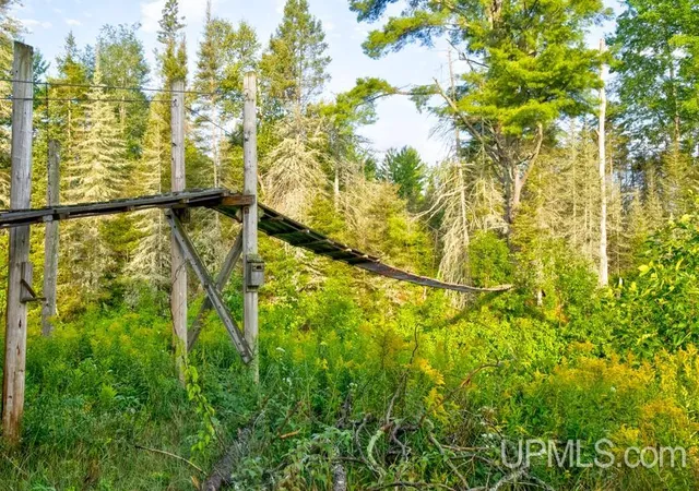 Photo 4 of Land for sale at 6484 A Off S15 Rd, Rapid River, MI 49878 | MLS# 50219926 | Listing updated on 2026-09-21
