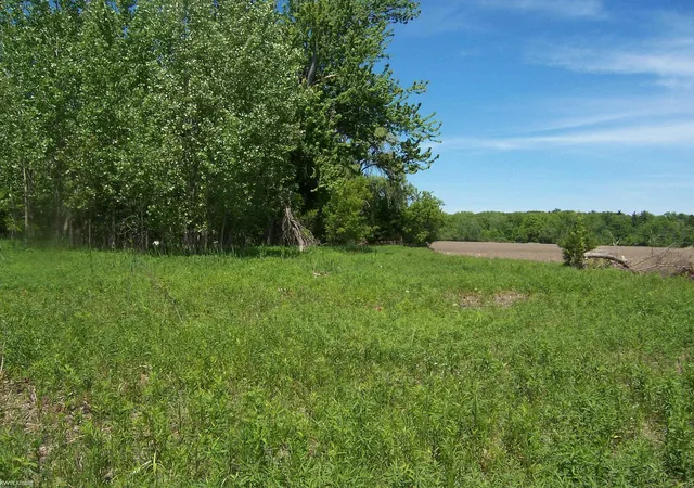 Homes for sale in Kimball, MI | Lot 2 Lapeer Rd Rd, Kimball, MI 48074 | MLS# 50209876