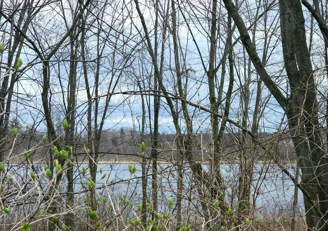 Photo 2 of Land for sale at Tbd N Derby Rd, Six Lakes, MI 48886 | MLS# 70501389 | Listing updated on 2026-07-24