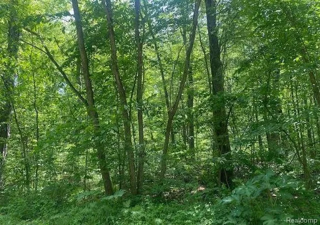 Homes for sale in Brighton, MI | Parcel 2 & 4 Deadwood Ln, Brighton, MI 48114 | MLS# 60986509