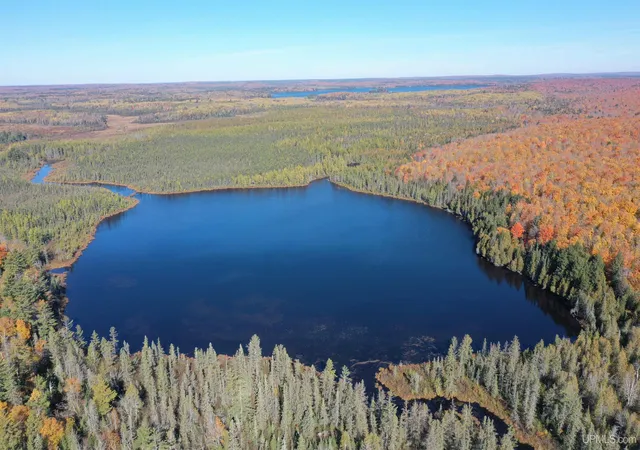 Photo 1 of Land for sale at 527 Usfs Rd 2130 Rd, Iron River, MI 49935 | MLS# 50129584 | Listing updated on 2026-06-06