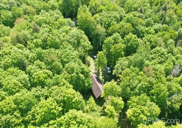 Photo 2 of Land for sale at 527 Usfs Rd 2130 Rd, Iron River, MI 49935 | MLS# 50129584 | Listing updated on 2026-06-06