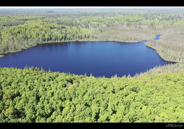 Photo 3 of Land for sale at 527 Usfs Rd 2130 Rd, Iron River, MI 49935 | MLS# 50129584 | Listing updated on 2026-06-06