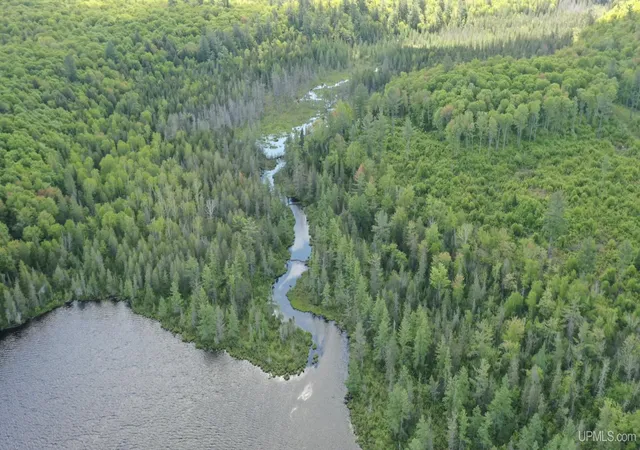 Photo 4 of Land for sale at 527 Usfs Rd 2130 Rd, Iron River, MI 49935 | MLS# 50129584 | Listing updated on 2026-06-06