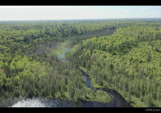 Photo 5 of Land for sale at 527 Usfs Rd 2130 Rd, Iron River, MI 49935 | MLS# 50129584 | Listing updated on 2026-06-06