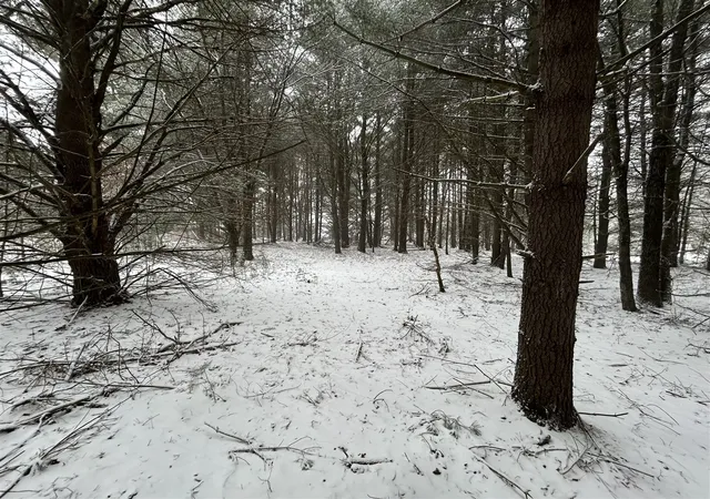Photo 3 of Sale Pending at 9530 Federal Rd, Howard City, MI 49329 | MLS# 70510558 | Listing updated on 2026-07-27
