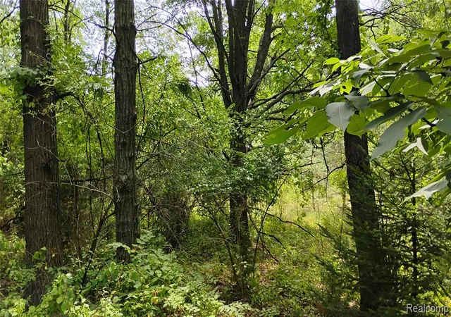 15th image of 000 Middle V/l Middle, Highland, MI 48357 | MLS# 60991713