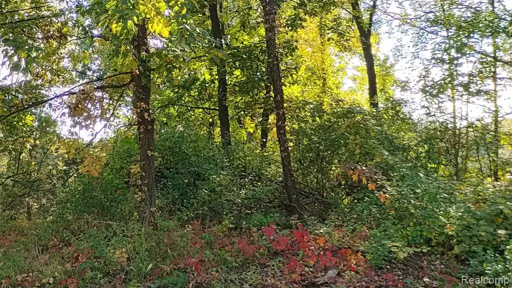 Photo 1 of Land for sale at 000 Middle V/l Middle, Highland, MI 48357 | MLS# 60991713 | Listing updated on 2026-10-23