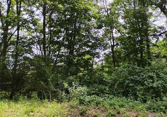 2nd image of 000 Middle V/l Middle, Highland, MI 48357 | MLS# 60991713