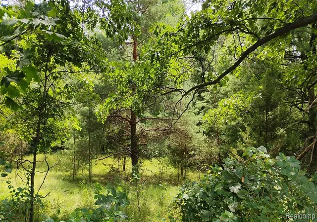 5th image of 000 Middle V/L Middle, Highland, MI 48357 | MLS# 60991713