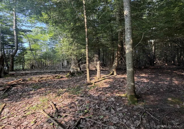 Photo 1 of Land for sale at Tbd5 Bayshore Rd, L'anse, MI 49946 | MLS# 50216014 | Listing updated on 2026-08-27