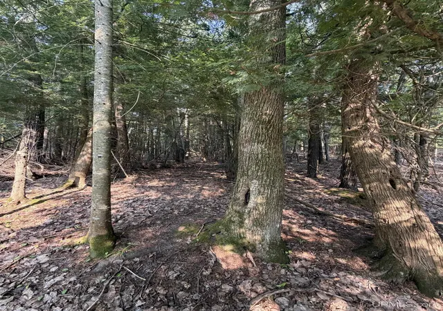 Photo 2 of Land for sale at Tbd5 Bayshore Rd, L'anse, MI 49946 | MLS# 50216014 | Listing updated on 2026-08-27