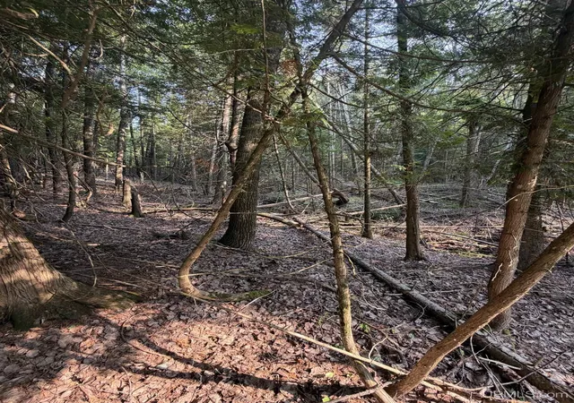 Photo 3 of Land for sale at Tbd5 Bayshore Rd, L'anse, MI 49946 | MLS# 50216014 | Listing updated on 2026-08-27