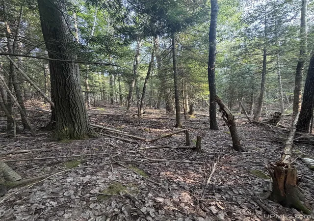 Photo 4 of Land for sale at Tbd5 Bayshore Rd, L'anse, MI 49946 | MLS# 50216014 | Listing updated on 2026-08-27