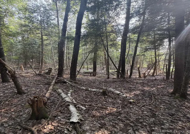 Photo 5 of Land for sale at Tbd5 Bayshore Rd, L'anse, MI 49946 | MLS# 50216014 | Listing updated on 2026-08-27