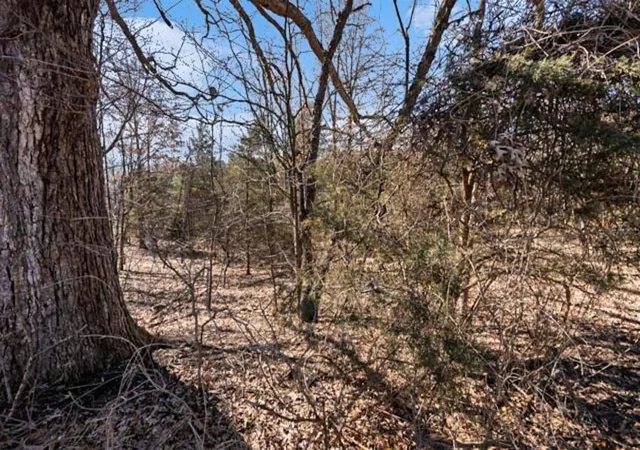 Photo 2 of Land for sale at State St, Albion, MI 49224 | MLS# 70517098 | Listing updated on 2026-08-24