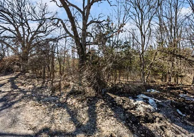 Photo 3 of Land for sale at State St, Albion, MI 49224 | MLS# 70517098 | Listing updated on 2026-08-24