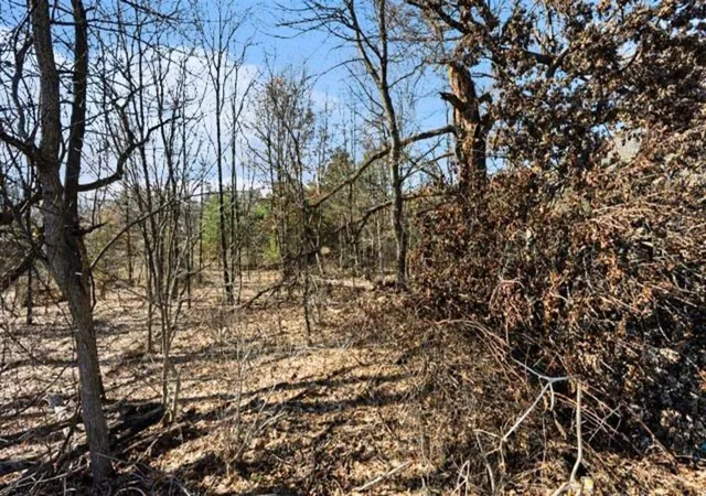 Photo 4 of Land for sale at State St, Albion, MI 49224 | MLS# 70517098 | Listing updated on 2026-08-24