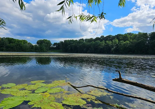 Photo 1 of Sale Pending at V L Coral Rd, Coral, MI 49322 | MLS# 70554072 | Listing updated on 2026-08-31