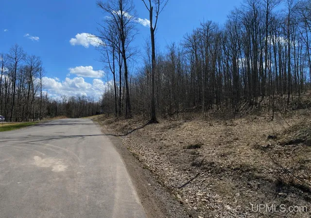 Homes for sale in South Range, MI | Tbd Lot 23 S Whealkate Dr, South Range, MI 49963 | MLS# 50202936