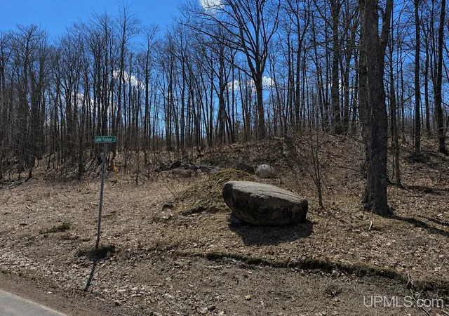 Homes for sale in South Range, MI | Tbd Lot 23 S Whealkate Dr, South Range, MI 49963 | MLS# 50202936
