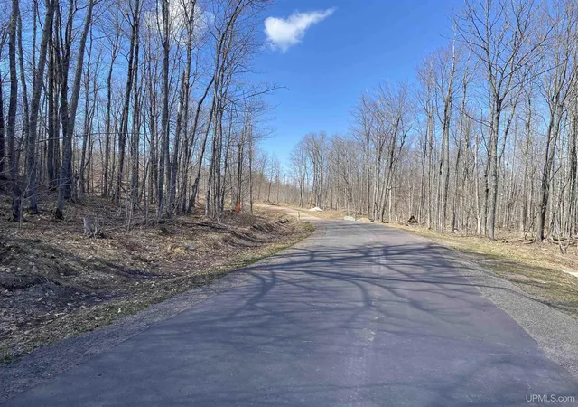 Homes for sale in South Range, MI | Tbd Lot 23 S Whealkate Dr, South Range, MI 49963 | MLS# 50202936