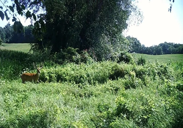 Photo 2 of Land for sale at 12753 Bliss Rd, Marcellus, MI 49067 | MLS# 70550428 | Listing updated on 2026-08-29