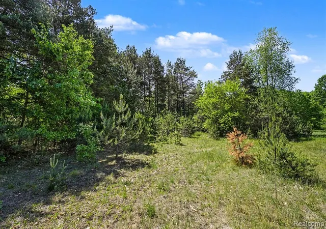 Homes for sale in Lapeer, MI | 1948 Mayfield Rd, Lapeer, MI 48446 | MLS# 60999519