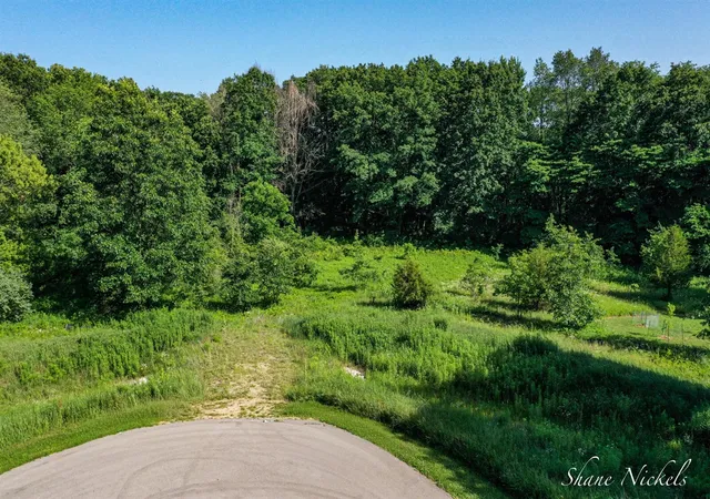 Photo 3 of Land for sale at 12552 Agate Ct, Alto, MI 49302 | MLS# 70550120 | Listing updated on 2026-09-04