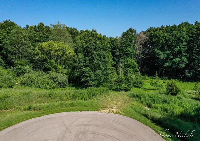 Photo 4 of Land for sale at 12552 Agate Ct, Alto, MI 49302 | MLS# 70550120 | Listing updated on 2026-09-04