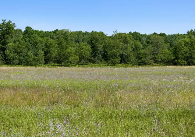 Photo 3 of Land for sale at 331/311 Kleehammer Clb Dr, Kalkaska, MI 49646 | MLS# 80072183 | Listing updated on 2026-08-14