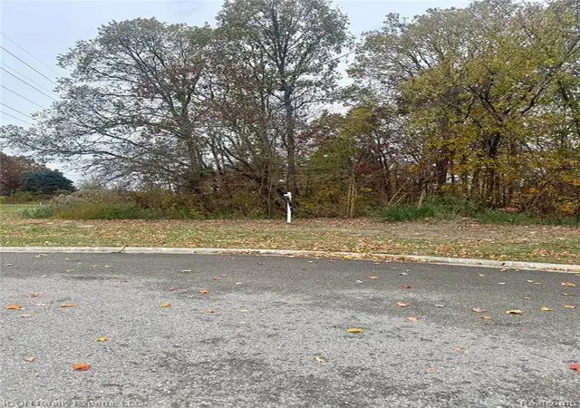 Photo 2 of Land for sale at 10380 Excalibur Dr, Shelby Township, MI 48315 | MLS# 60949207 | Listing updated on 2026-08-24