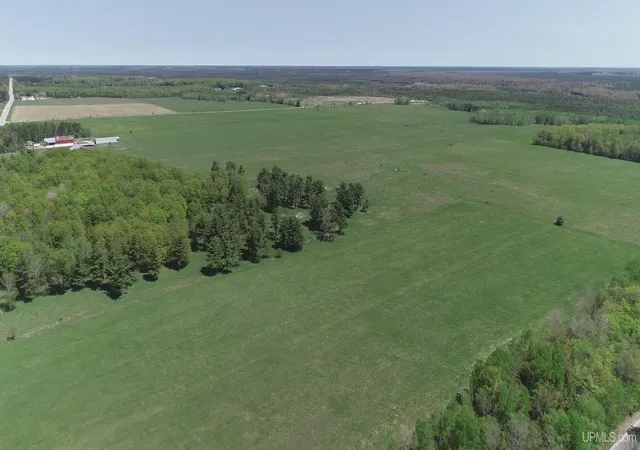Homes for sale in Manistique, MI | 184 Acres M-94 Hwy, Manistique, MI 49854 | MLS# 50209419