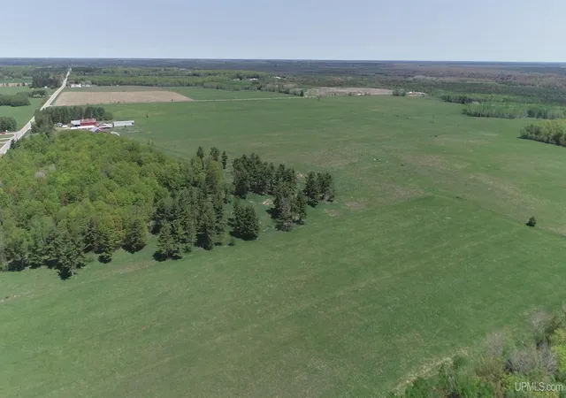 Homes for sale in Manistique, MI | 184 Acres M-94 Hwy, Manistique, MI 49854 | MLS# 50209419