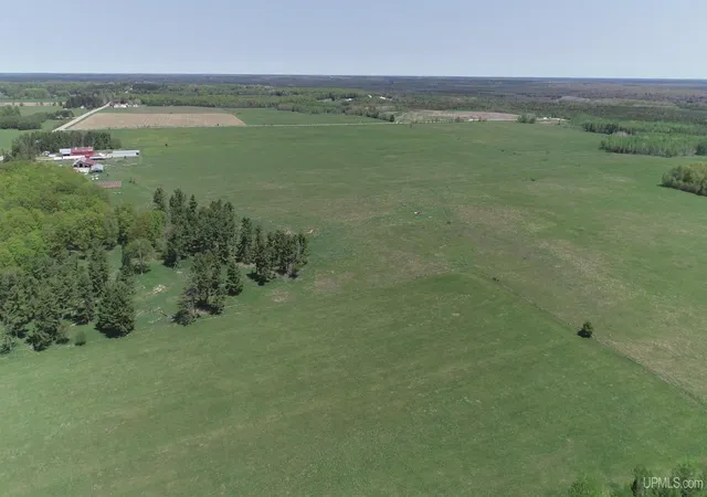 Homes for sale in Manistique, MI | 184 Acres M-94 Hwy, Manistique, MI 49854 | MLS# 50209419