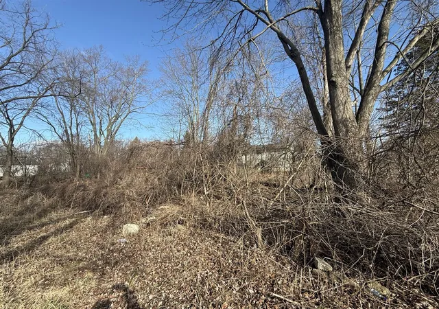 Photo 3 of Land for sale at 358 Arcola St, Inkster, MI 48141 | MLS# 70523503 | Listing updated on 2026-07-06