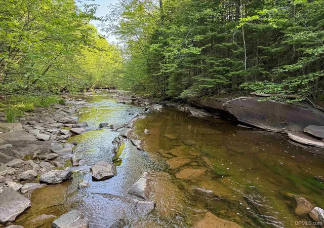 Homes for sale in Ontonagon, MI | Lot 2 Off Hwy M 64 Rd, Ontonagon, MI 49953 | MLS# 50210243