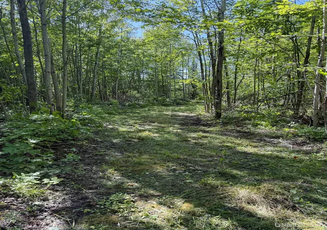 Homes for sale in Ontonagon, MI | Lot 2 Off Hwy M 64 Rd, Ontonagon, MI 49953 | MLS# 50210243