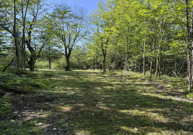 Homes for sale in Ontonagon, MI | Lot 2 Off Hwy M-64 Rd, Ontonagon, MI 49953 | MLS# 50210243