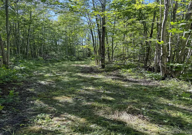 Homes for sale in Ontonagon, MI | Lot 2 Off Hwy M-64 Rd, Ontonagon, MI 49953 | MLS# 50210243