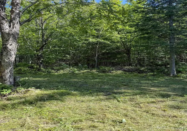 Homes for sale in Ontonagon, MI | Lot 2 Off Hwy M-64 Rd, Ontonagon, MI 49953 | MLS# 50210243