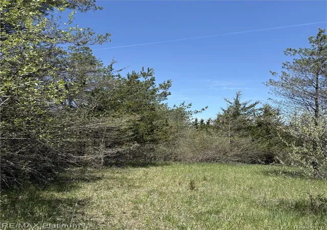 2nd image of Parcel 3 Pineway Trail, Howell, MI 48855 | MLS# 60989754
