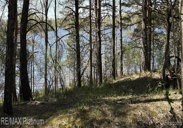 3rd image of Parcel 3 Pineway Trail, Howell, MI 48855 | MLS# 60989754