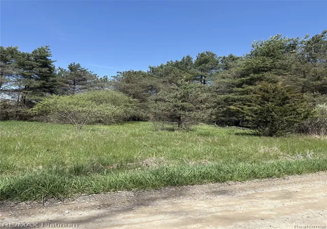 4th image of Parcel 3 Pineway Trail, Howell, MI 48855 | MLS# 60989754