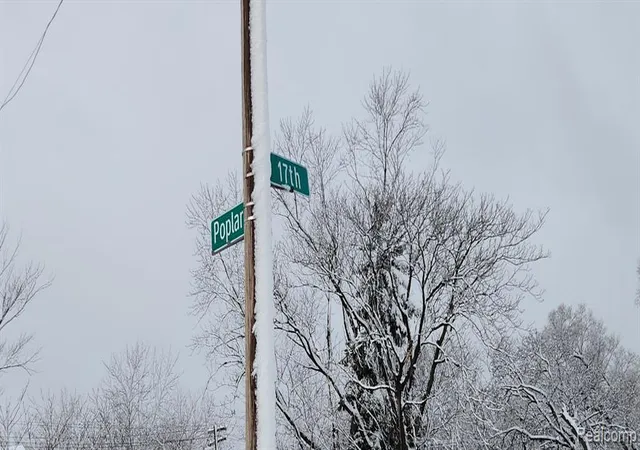 Photo 1 of Land for sale at 3997 17th Street, Detroit, MI 48208 | MLS# 60974419 | Listing updated on 2026-07-07