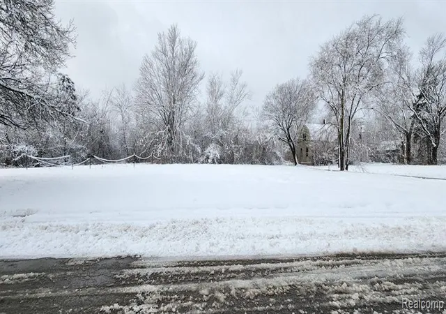 Photo 3 of Land for sale at 3997 17th Street, Detroit, MI 48208 | MLS# 60974419 | Listing updated on 2026-07-07