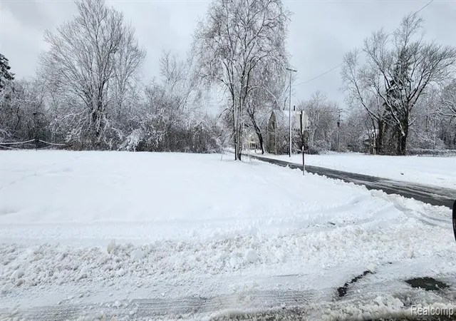 Photo 3 of Land for sale at 3997 17th Street, Detroit, MI 48208 | MLS# 60974419 | Listing updated on 2026-07-07
