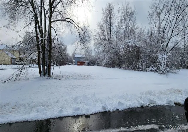Photo 4 of Land for sale at 3997 17th Street, Detroit, MI 48208 | MLS# 60974419 | Listing updated on 2026-07-07