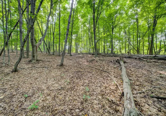 Homes for sale in Maple City, MI | Lot 27 W Harbour Rdg, Maple City, MI 49664 | MLS# 80070472